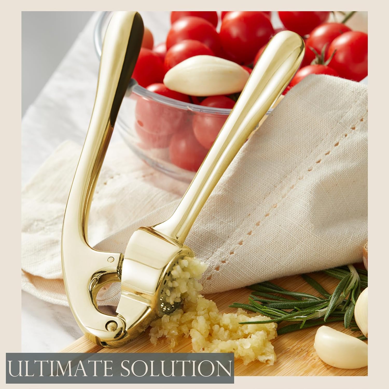 Garlic Press With Studs, Garlic Mincer, Ginger Crusher, Garlic Crusher Garlic Press With Studs, Garlic Mincer, Ginger Crusher, Garlic Crusher